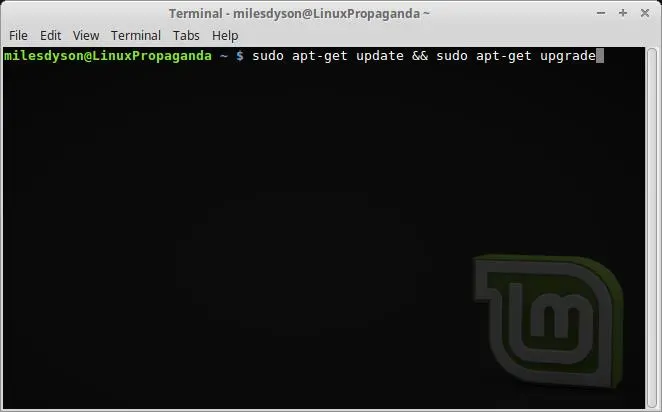 لینوکس برای مبتدیان؛ چرا Linux Mint می‌تواند جایگزین ساده ویندوز باشد؟